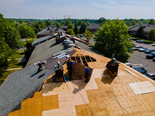 Quick and Trustworthy Emergency Roof Repair Services in Waterloo, NE