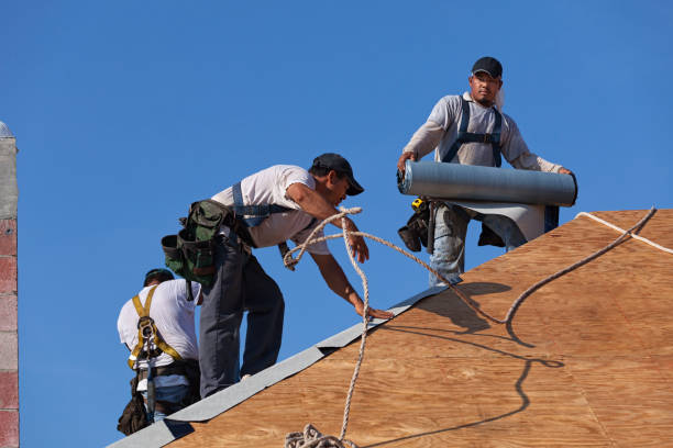 Gutter Installation and Roofing in Waterloo, NE
