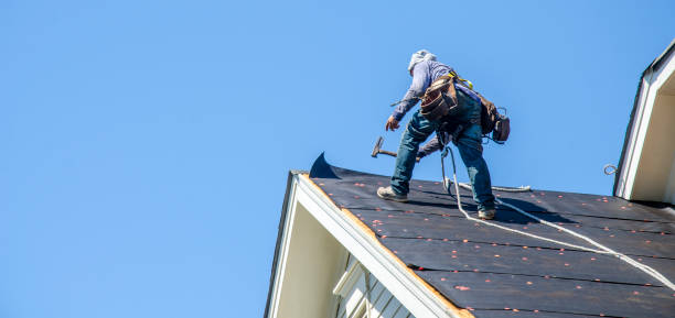 Best Residential Roofing Contractor  in Waterloo, NE